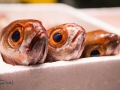 PESCA XXI (14)
